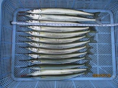 尼崎市立魚つり公園の2024年7月10日(水)3枚目の写真
