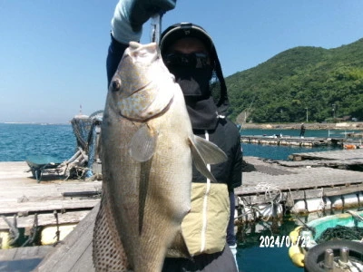 由良海つり公園&釣堀ランドの2024年7月22日(月)5枚目の写真
