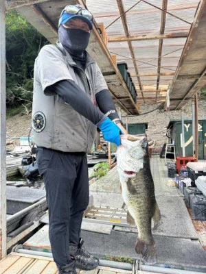 Y企画の2024年7月17日(水)1枚目の写真