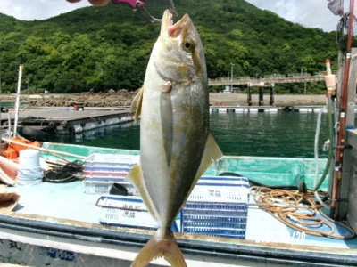 由良海つり公園&釣堀ランドの2024年8月20日(火)2枚目の写真