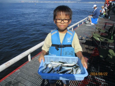 尼崎市立魚つり公園の2024年8月22日(木)2枚目の写真