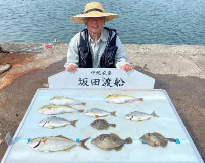 坂田渡船の2024年9月3日(火)1枚目の写真