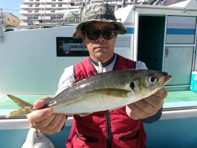 一郎丸の2024年9月5日(木)5枚目の写真