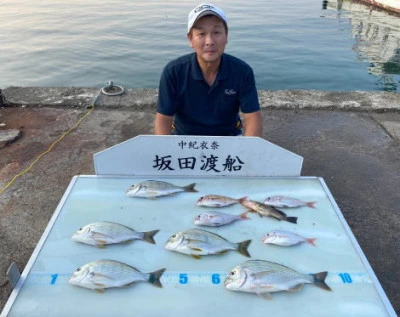 坂田渡船の2024年9月8日(日)3枚目の写真