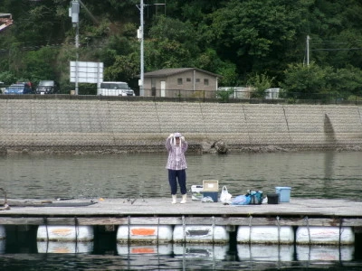 由良海つり公園&釣堀ランドの2024年9月30日(月)3枚目の写真