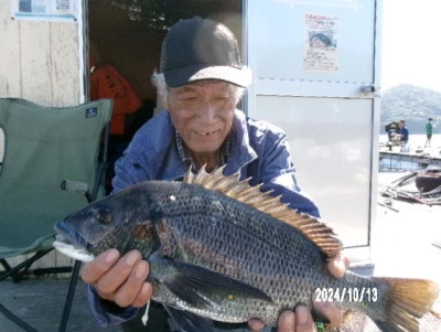 由良海つり公園&釣堀ランドの2024年10月13日(日)4枚目の写真