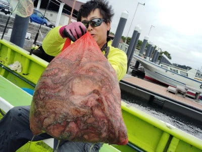 横内丸の2024年10月19日(土)2枚目の写真