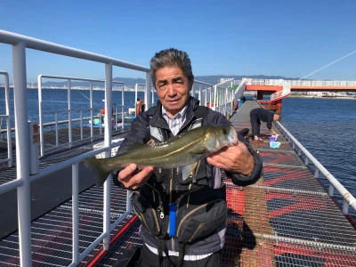 尼崎市立魚つり公園の2024年10月25日(金)1枚目の写真