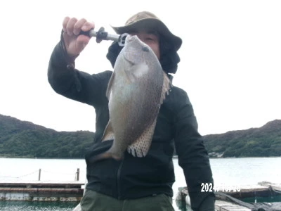 由良海つり公園&釣堀ランドの2024年10月28日(月)1枚目の写真