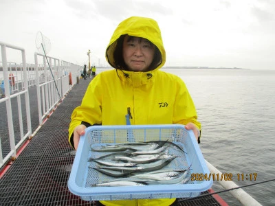 尼崎市立魚つり公園の2024年11月2日(土)1枚目の写真