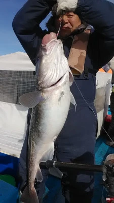 釣りキチ丸の2024年11月6日(水)1枚目の写真