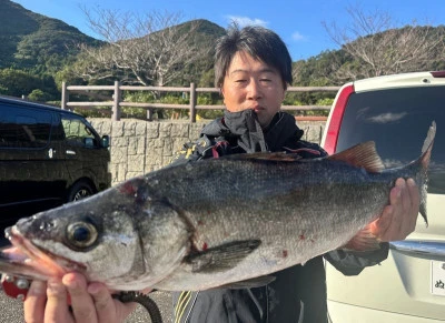 瀬渡し 磯の2024年11月7日(木)5枚目の写真