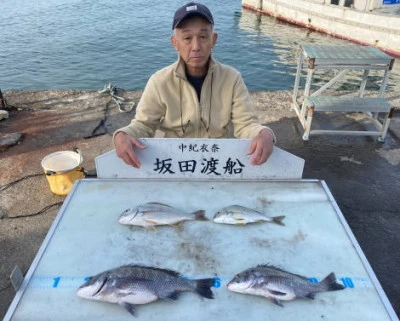 坂田渡船の2024年11月8日(金)2枚目の写真