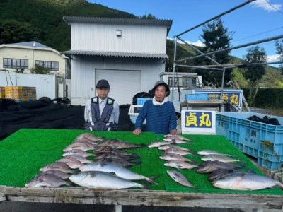 貞丸の2024年11月6日(水)1枚目の写真