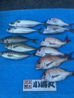 小嶋丸の2024年11月13日(水)1枚目の写真