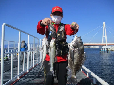 尼崎市立魚つり公園の2024年11月13日(水)1枚目の写真