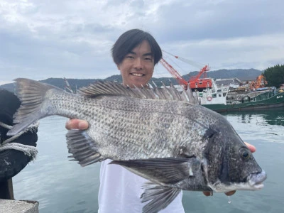 海の都 勢力丸の2024年11月9日(土)1枚目の写真