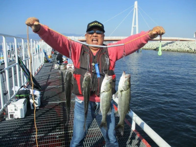 兵庫県尼崎 尼崎市立魚つり公園の釣果詳細|釣果・施設情報|釣りビジョン