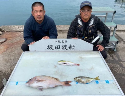 坂田渡船の2024年11月10日(日)1枚目の写真