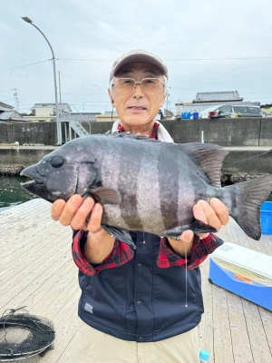 海上釣堀 辨屋の2024年11月15日(金)2枚目の写真