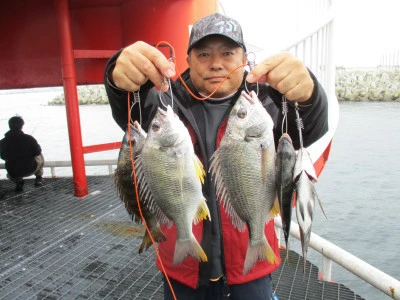 尼崎市立魚つり公園の2024年11月16日(土)3枚目の写真