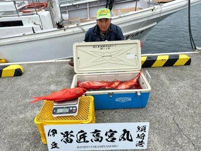 番匠高宮丸の2024年11月15日(金)2枚目の写真