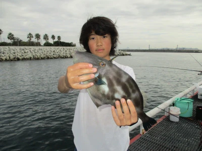 尼崎市立魚つり公園の2024年11月17日(日)2枚目の写真