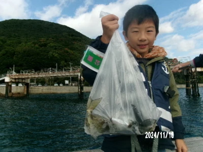 由良海つり公園&釣堀ランドの2024年11月18日(月)1枚目の写真