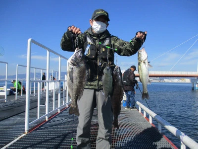 尼崎市立魚つり公園の2024年11月20日(水)1枚目の写真