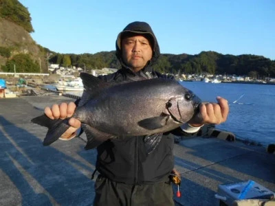 貴富丸の2024年11月19日(火)1枚目の写真