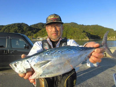 海斗の2024年11月20日(水)2枚目の写真