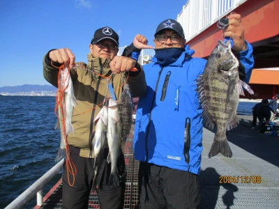 兵庫県尼崎 尼崎市立魚つり公園の釣果詳細|釣果・施設情報|釣りビジョン