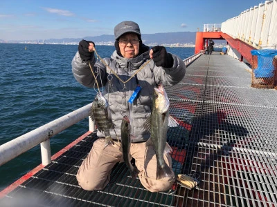 尼崎市立魚つり公園の2024年12月16日(月)1枚目の写真