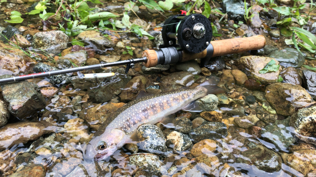 トラウトギャラリー 道具と愉しむ鱒釣旅 新潟県魚野川水系 6